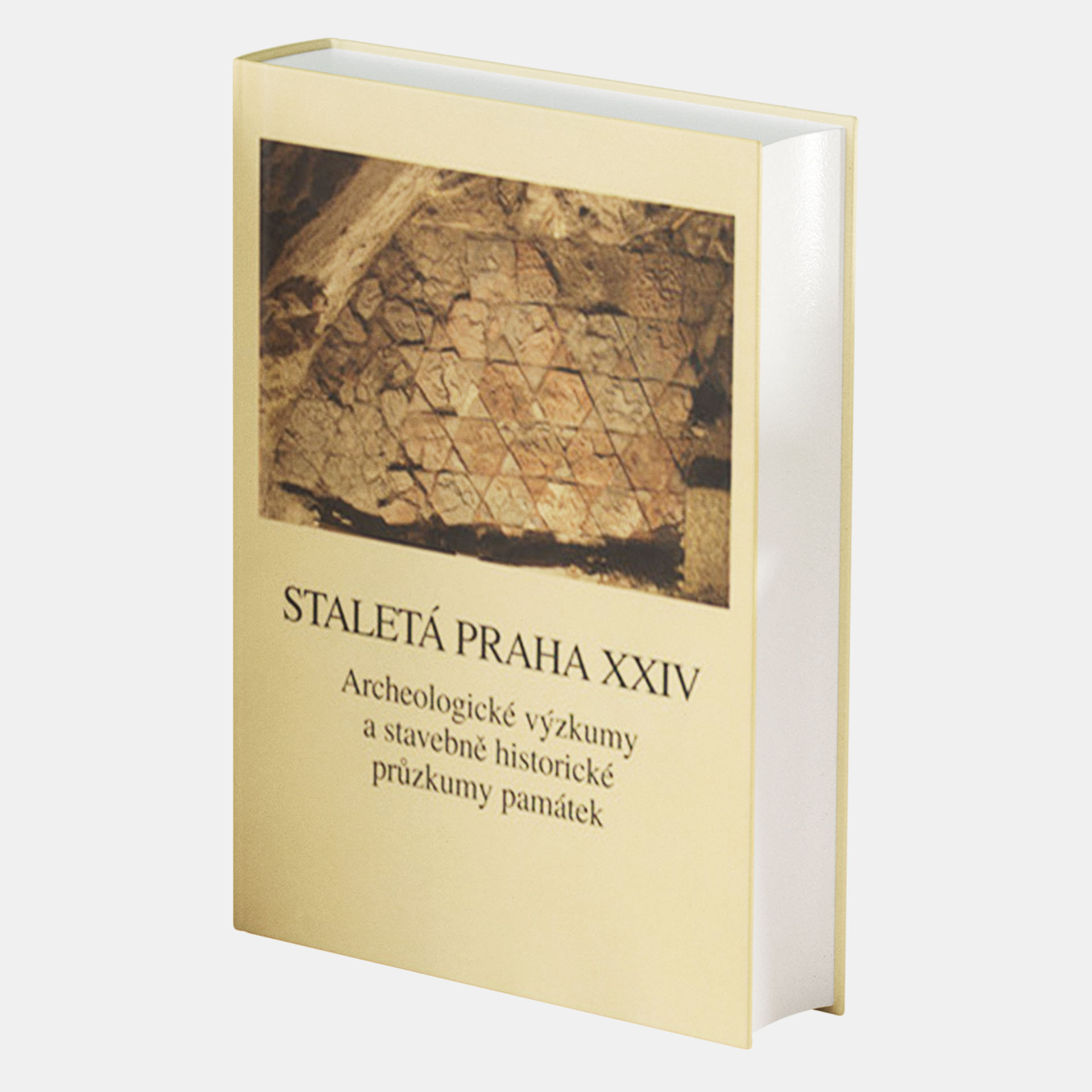 Staletá Praha XXIV. Archeologické výzkumy a stavebněhistorické průzkumy památek